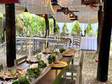 zWedding at Ted's - The Birdcagehouse