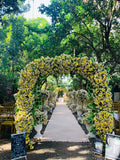 zWedding at Ted's - The Garden Alley